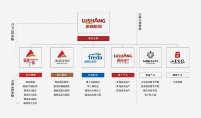 品牌策劃與VI設(shè)計(jì)的協(xié)同共生 構(gòu)建企業(yè)形象與推廣的堅(jiān)實(shí)支柱